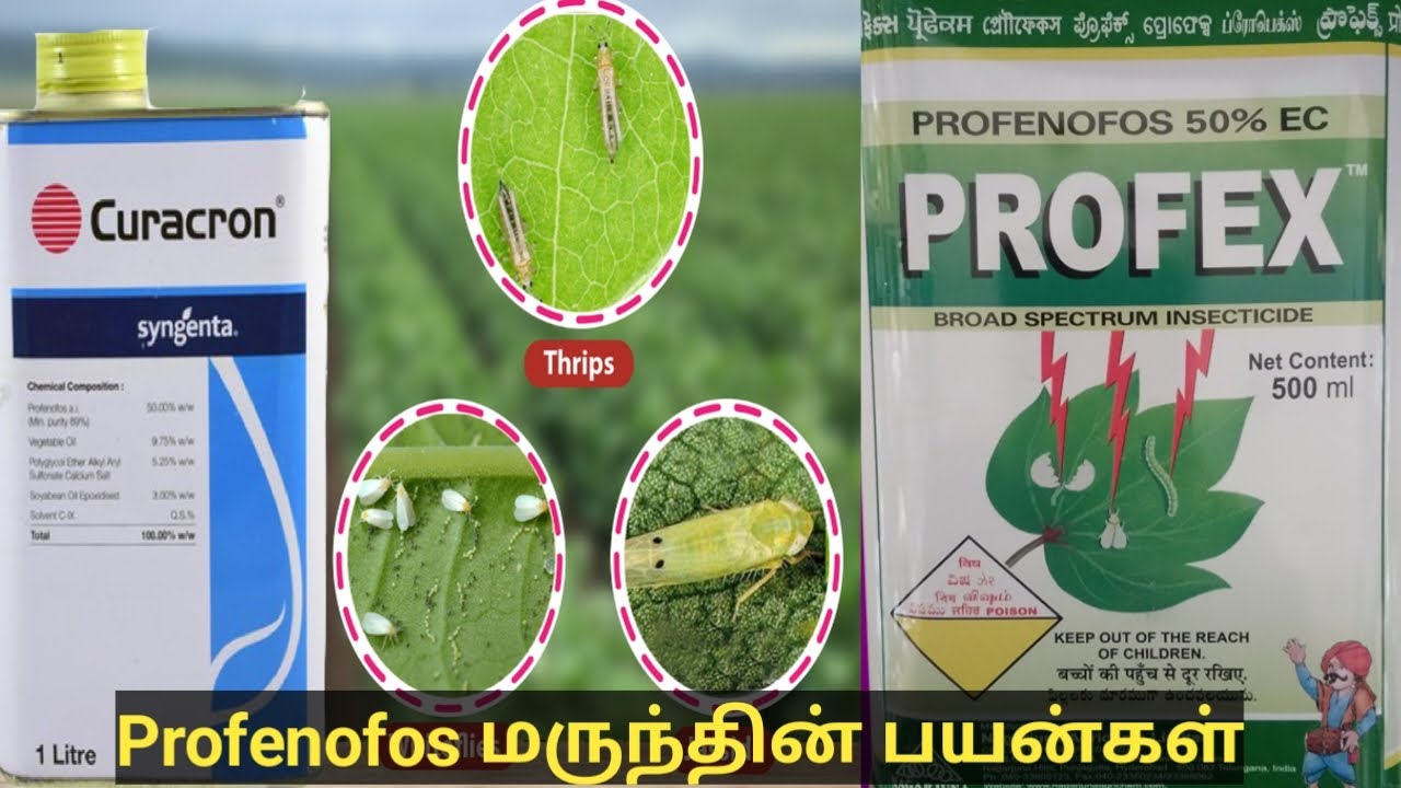 Profenofos மருந்தின் பயன்கள்/புரொப்பினோபாஸ் மருந்து எந்தெந்த பூச்சிகளைக் கட்டுப்படுத்தும்/uses profe