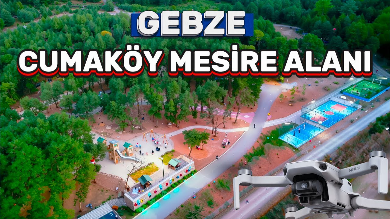 Cumaköy Mesire Alanı Gebze: Piknik ve Mangal Keyfi İçin İdeal Nokta!