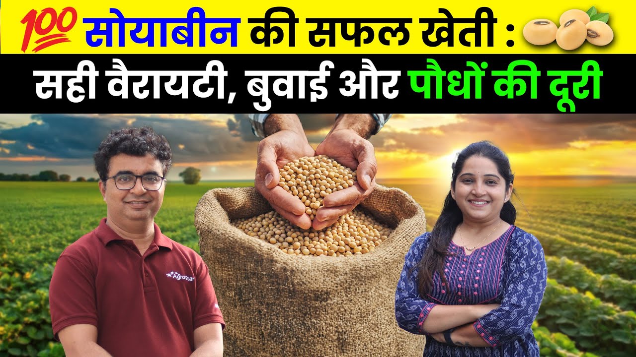 सोयाबीन उत्पादन बढ़ाने की शानदार तकनीक 💯 sowing distance, seed rate | #soyabean #agrostar