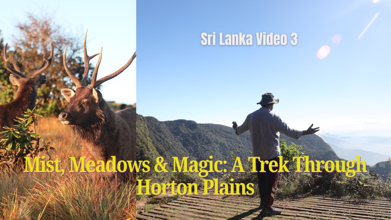 Horton Plains | This Trek Took Me to the Edge of the World | From Nuwara Eliya
