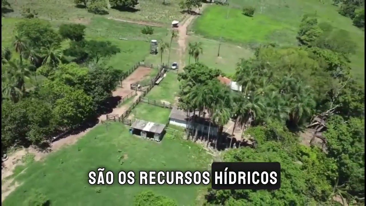 🌾 FAZENDA &Agrave; VENDA EM MAIRIPOTABA- GO. 🚨EXCELENTE PARA PECU&Aacute;RIA 🐄