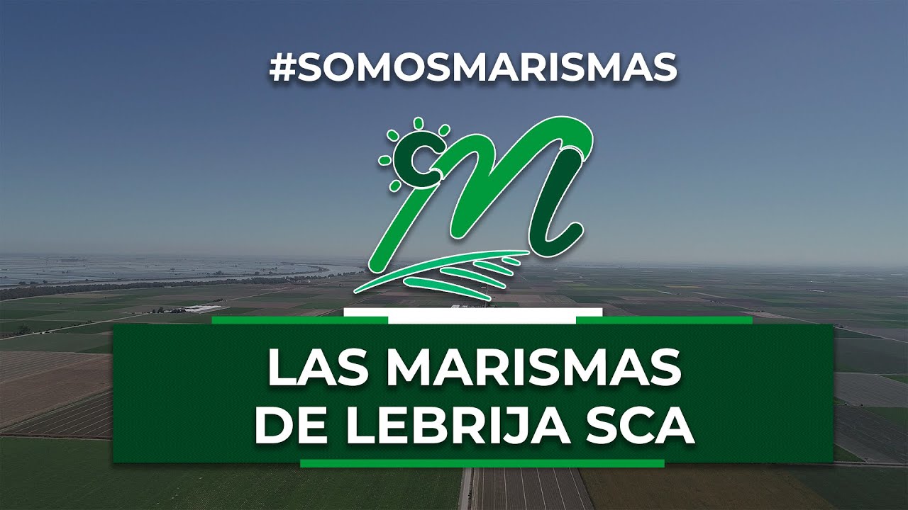 Preparación de la campaña de tomate 2020 en Las Marismas de Lebrija SCA
