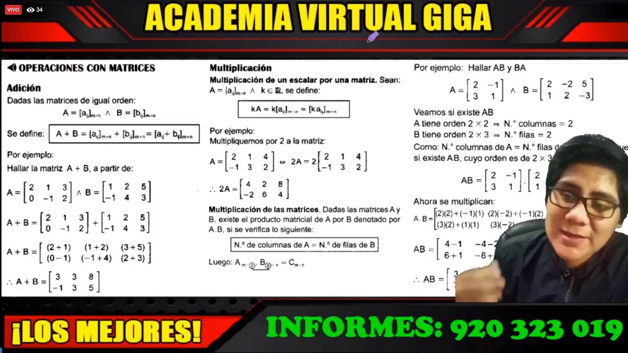 ALGEBRA: MATRICES Y DETERMINANTES-Teoría y Problemas Resueltos