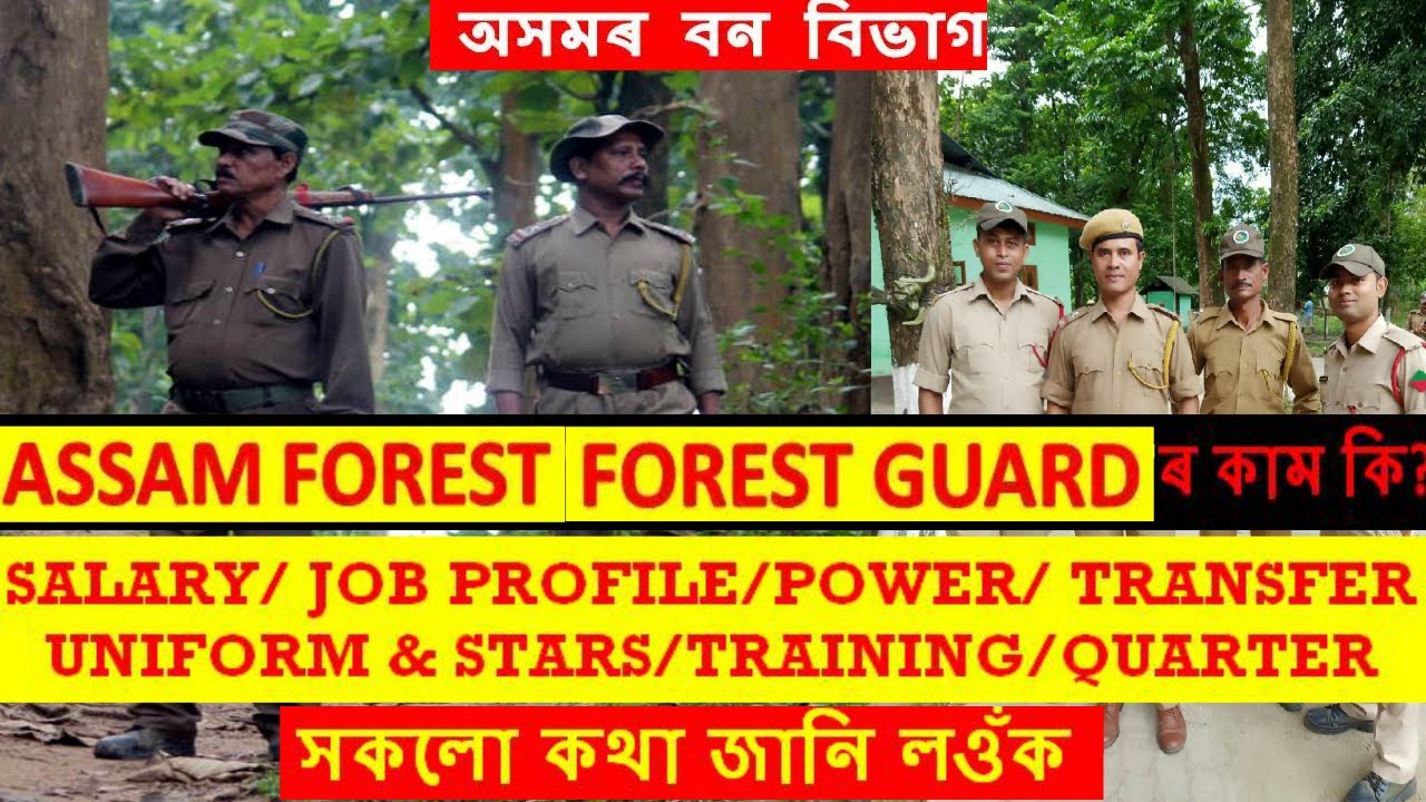 FOREST GUARD ৰ কাম কি? | SALARY/JOB PROFILE/POWER/TRANSFER/STAR/UNIFORM - ALL DETAIL | @SameerBora