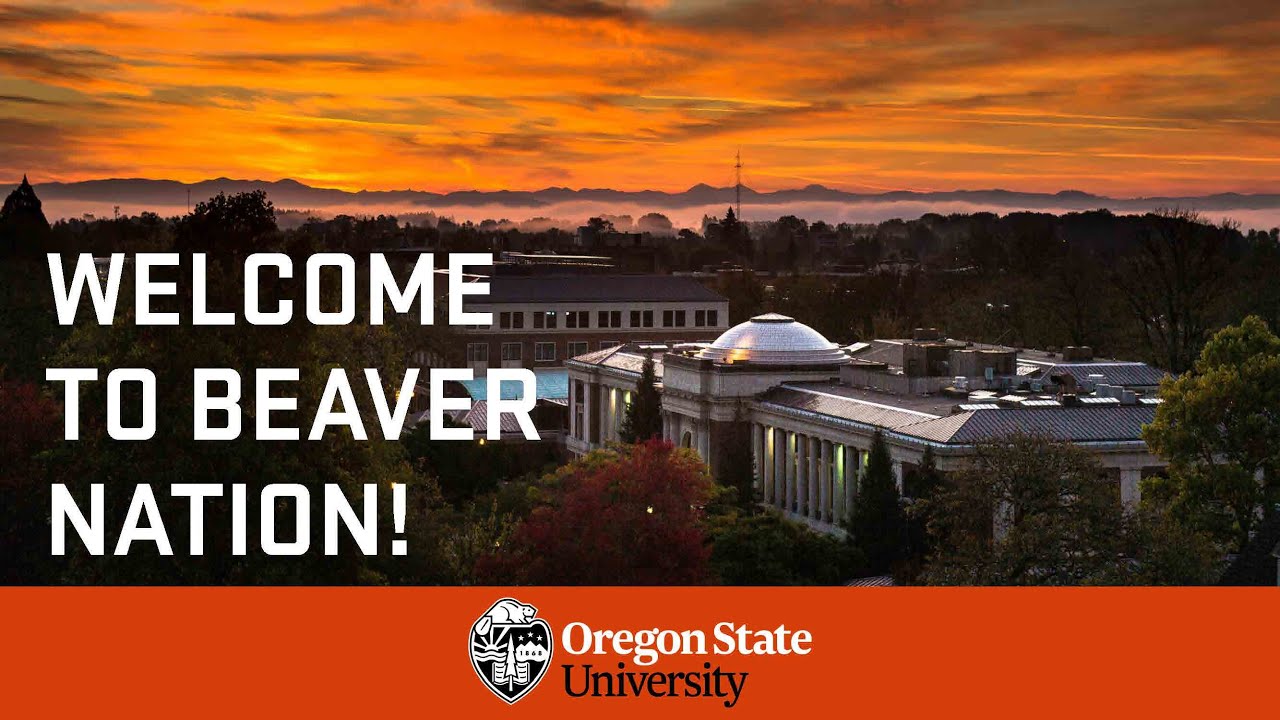 Next Steps for Fall 2021 Admitted Students (Recorded Webinar)