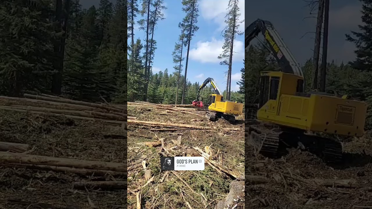 New Tigercat 850 Processor . with 622 Waratah head  #tigercat #logging #forestry #canada