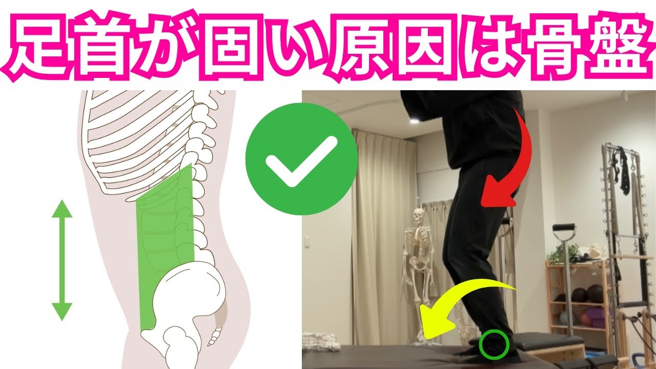 足首を伸ばしても変わらない人ほど、原因は骨盤です！