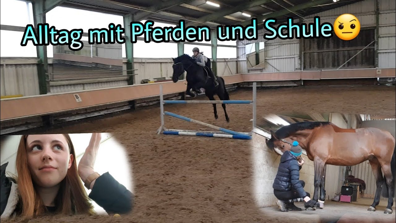 Schule und Pferde, geht das?🤯