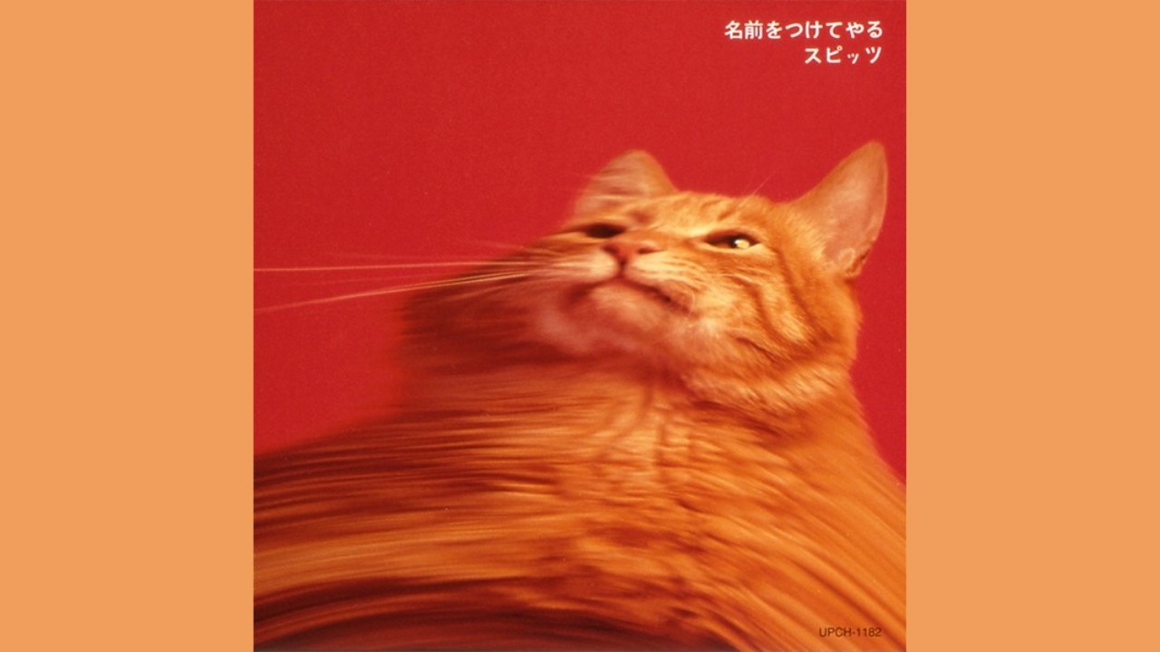 「名前をつけてやる」スピッツ　POCH-1103　STEREO