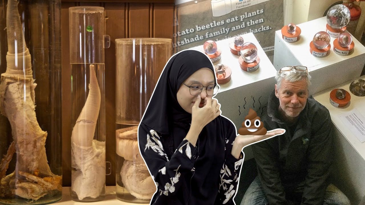 Muzium Tahi dan Muzium-Muzium Pelik Dunia