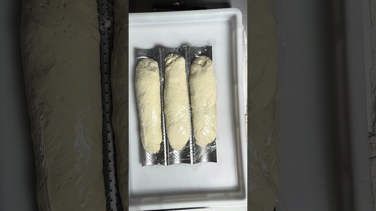#Pane con 12 ore di #lievitazione cotto in forno #EFFEUNO P134HA 509 #shorts