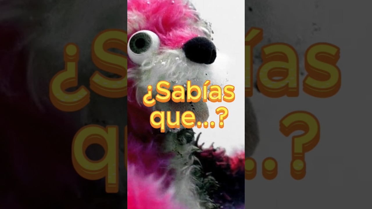 ¿Te diste cuenta de este detalle? 