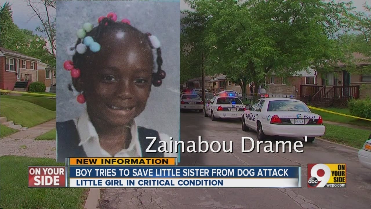 Boy tries to save little sister from dog attack