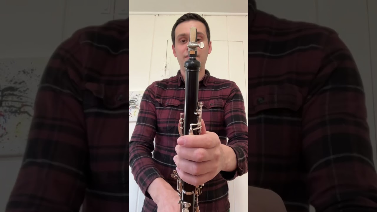 Yes, single reed oboe mouthpieces are a thing&hellip;