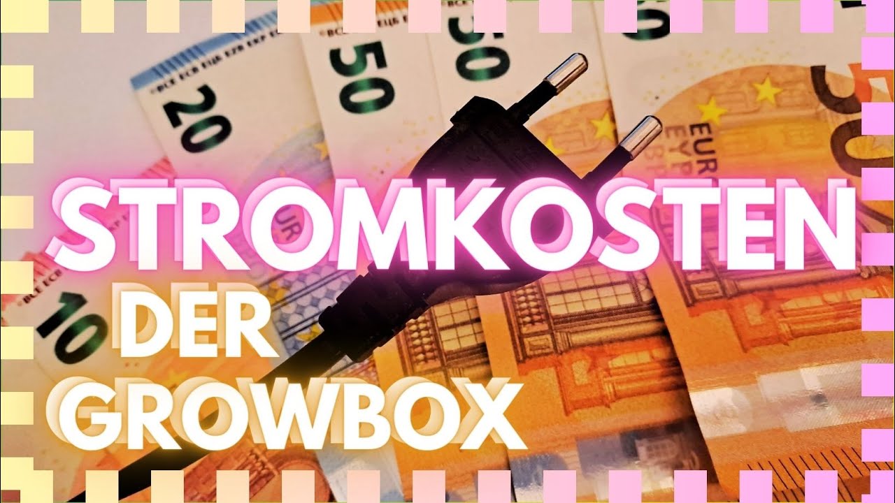 Die Stromkosten der Growbox berechnen &ndash; Stromverbrauch des Indoor Grows vom 60x60 bis 120x120 Zelt