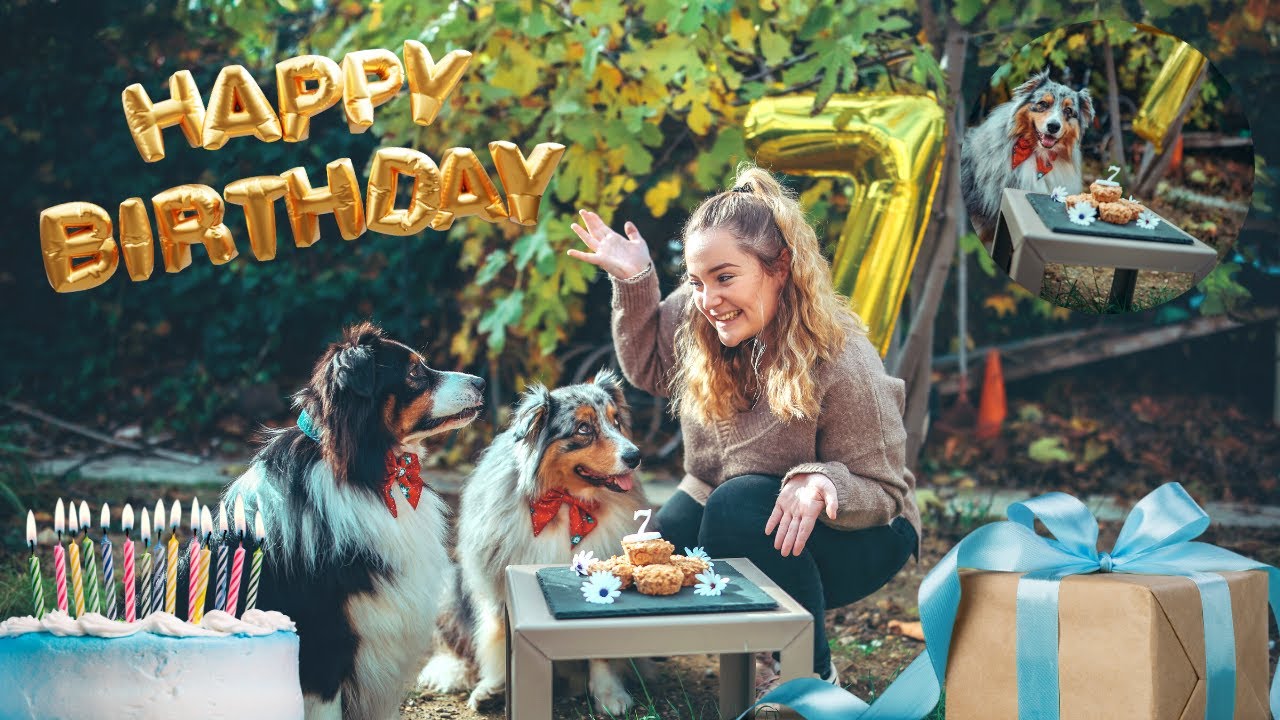 ON F&Ecirc;TE L'ANNIVERSAIRE DE MON CHIEN M&Eacute;LODY 🥳