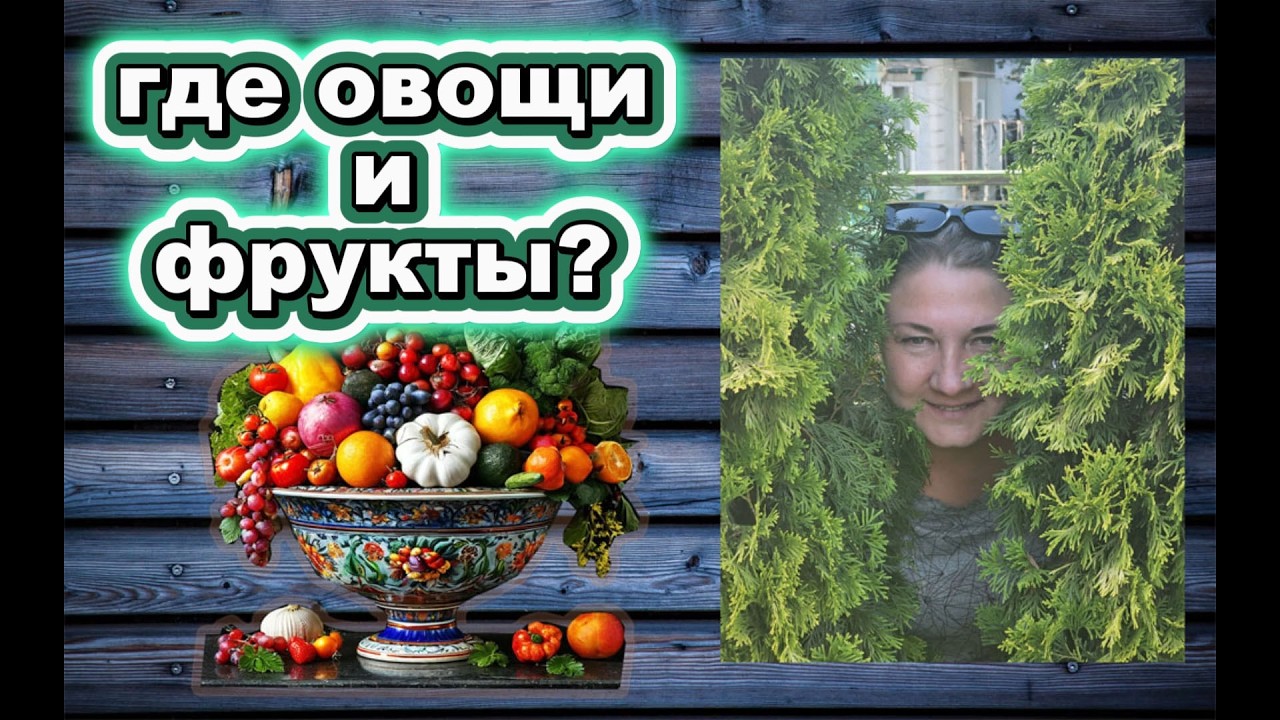 🇰🇿 КАЗАХСТАН 25-26! БОЛТОЛОГИЯ/РЕЦЕПТ ДИЕТИЧЕСКОГО ТИРАМИСУ/ОТВЕТ НА ВОПРОС ГДЕ ОВОЩИ И ФРУКТЫ?