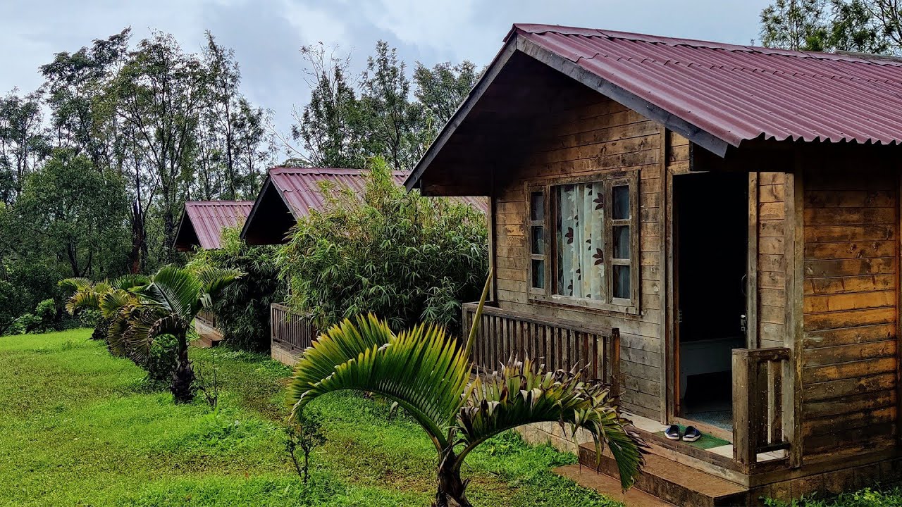 Chickmagalur | Manikyadhara Homestay | Solo Drive | Honda City