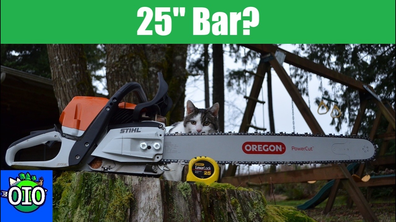 Is Stihl's 25