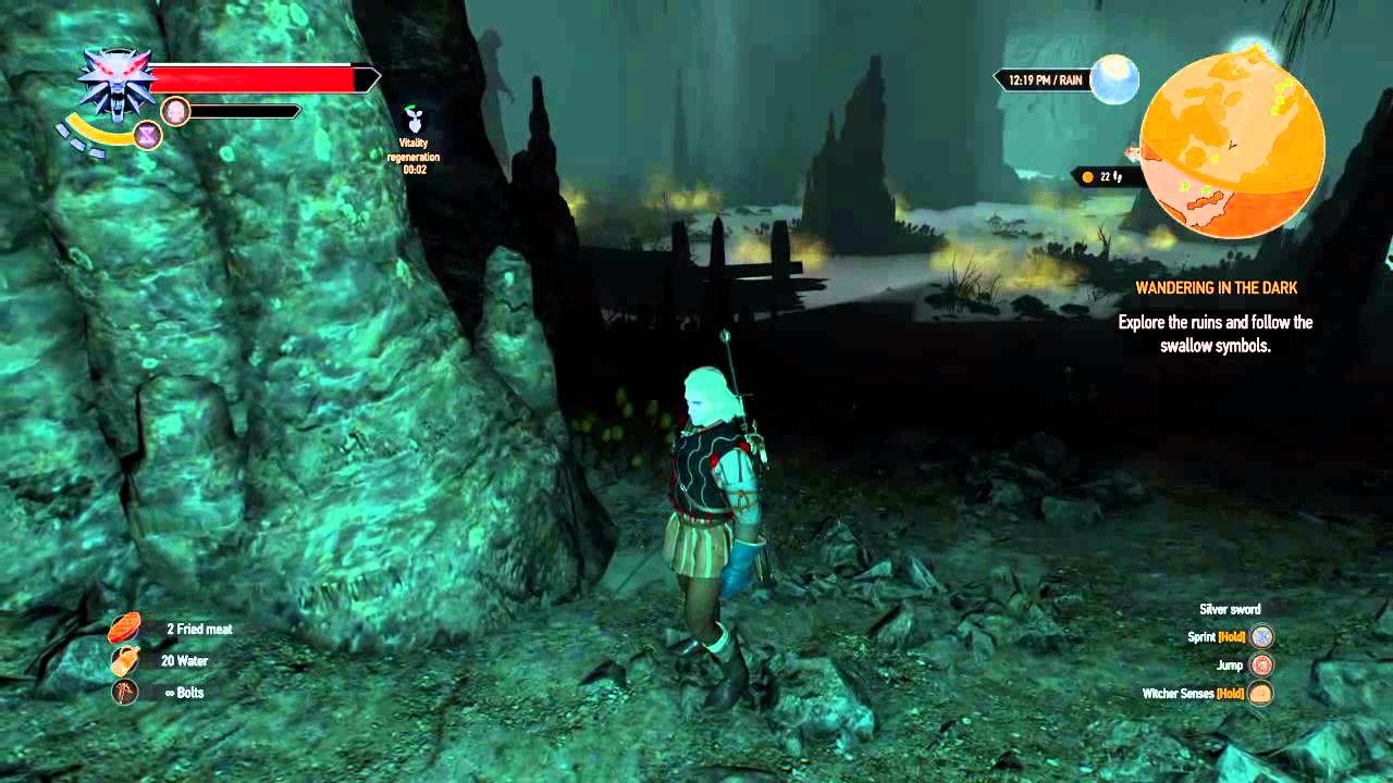 The Witcher 3: Wild Hunt QUEST WANDERING IN THE DARK