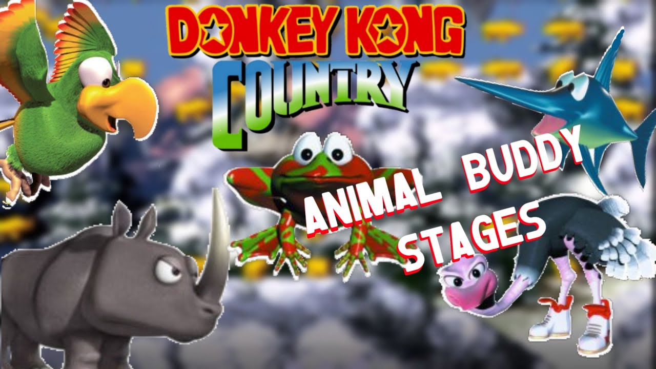 Donkey Kong Country: All Animal Buddies Bonus Rooms