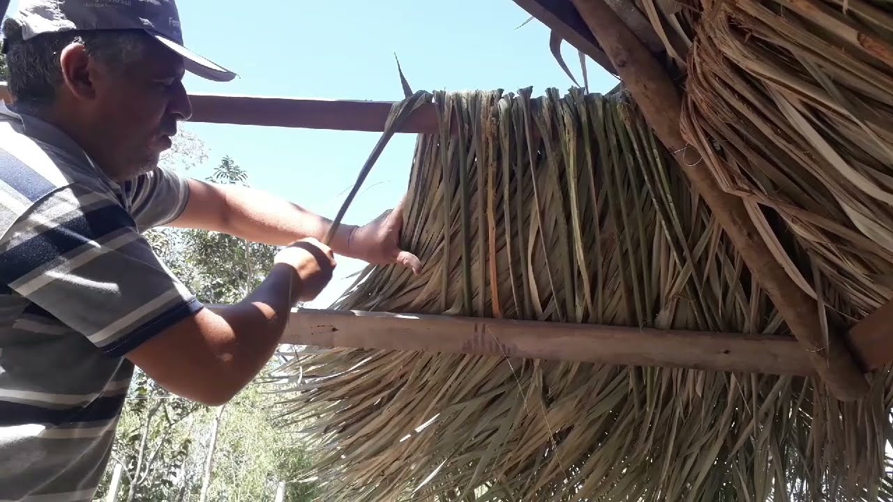 Como preparar palha para cobrir quiosque  . Passo a passo.