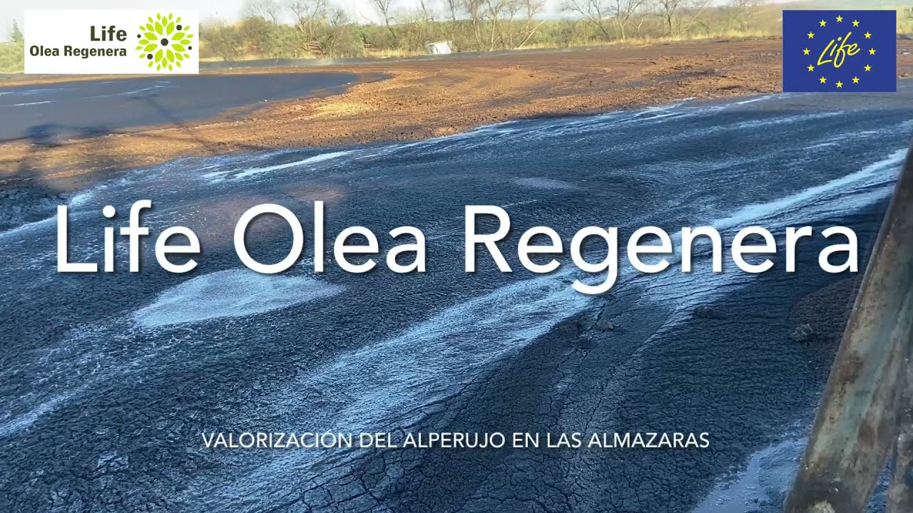 FYNECO - Proyecto LIFE Olea Regenera