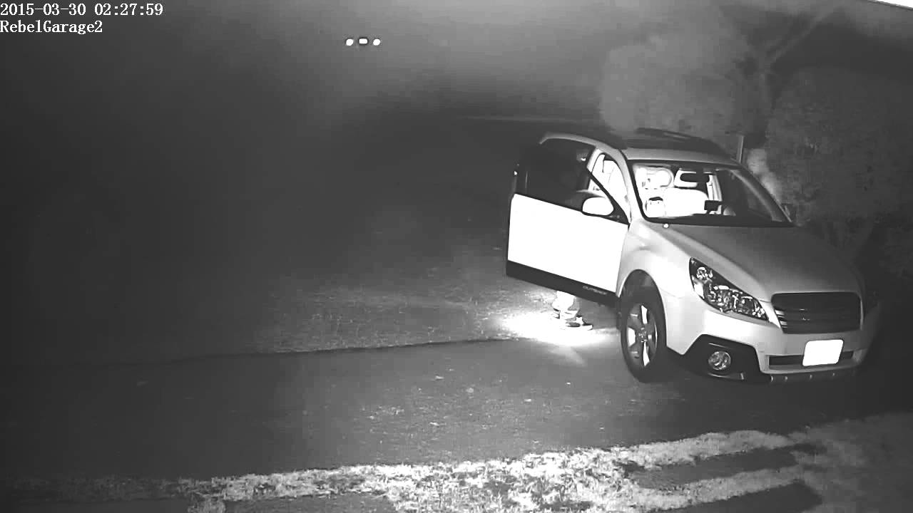 Car Prowler Windermere