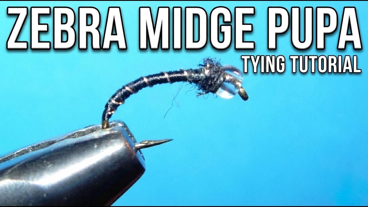 This Fly Has The Highest Chances of Catching Trout on Any River!