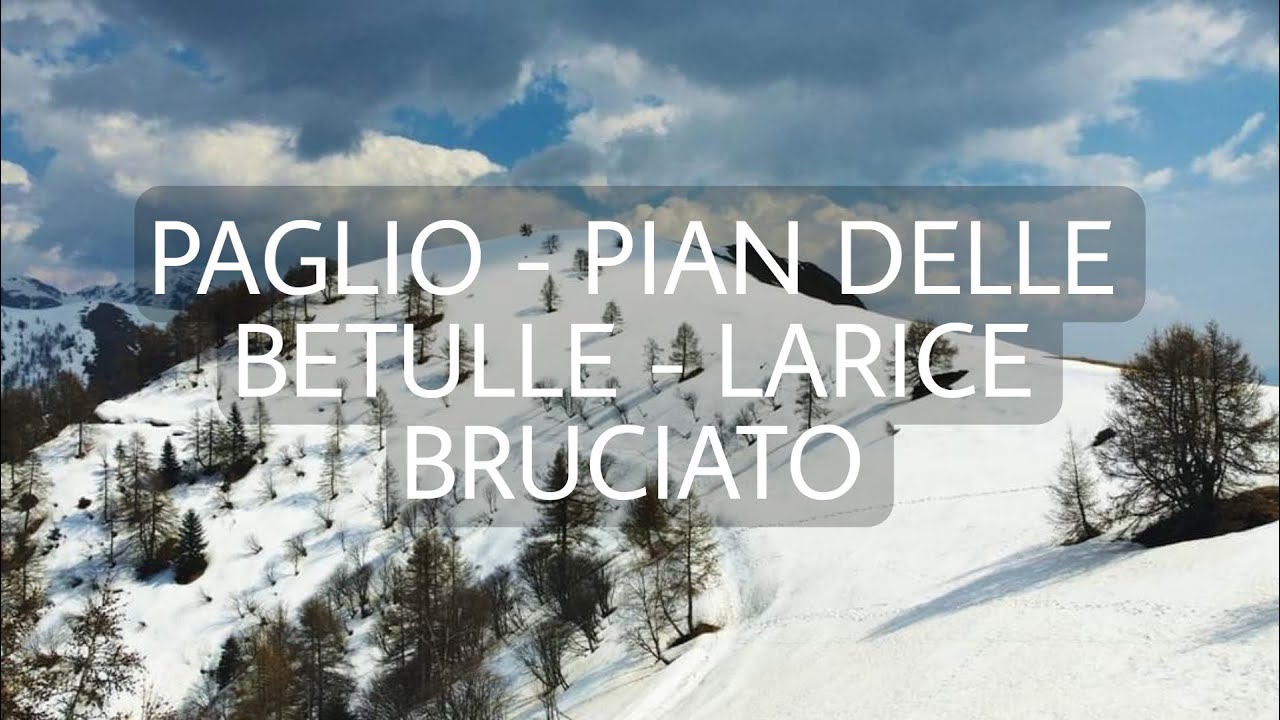 PAGLIO - PIAN DELLE BETULLE - LARICE BRUCIATO (escursione)