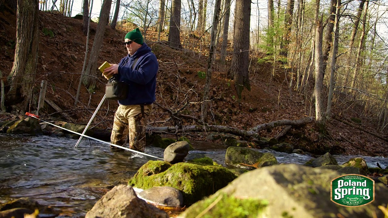 Care and Quality in Every Bottle | Poland Spring Brand 100% Natural Spring Water