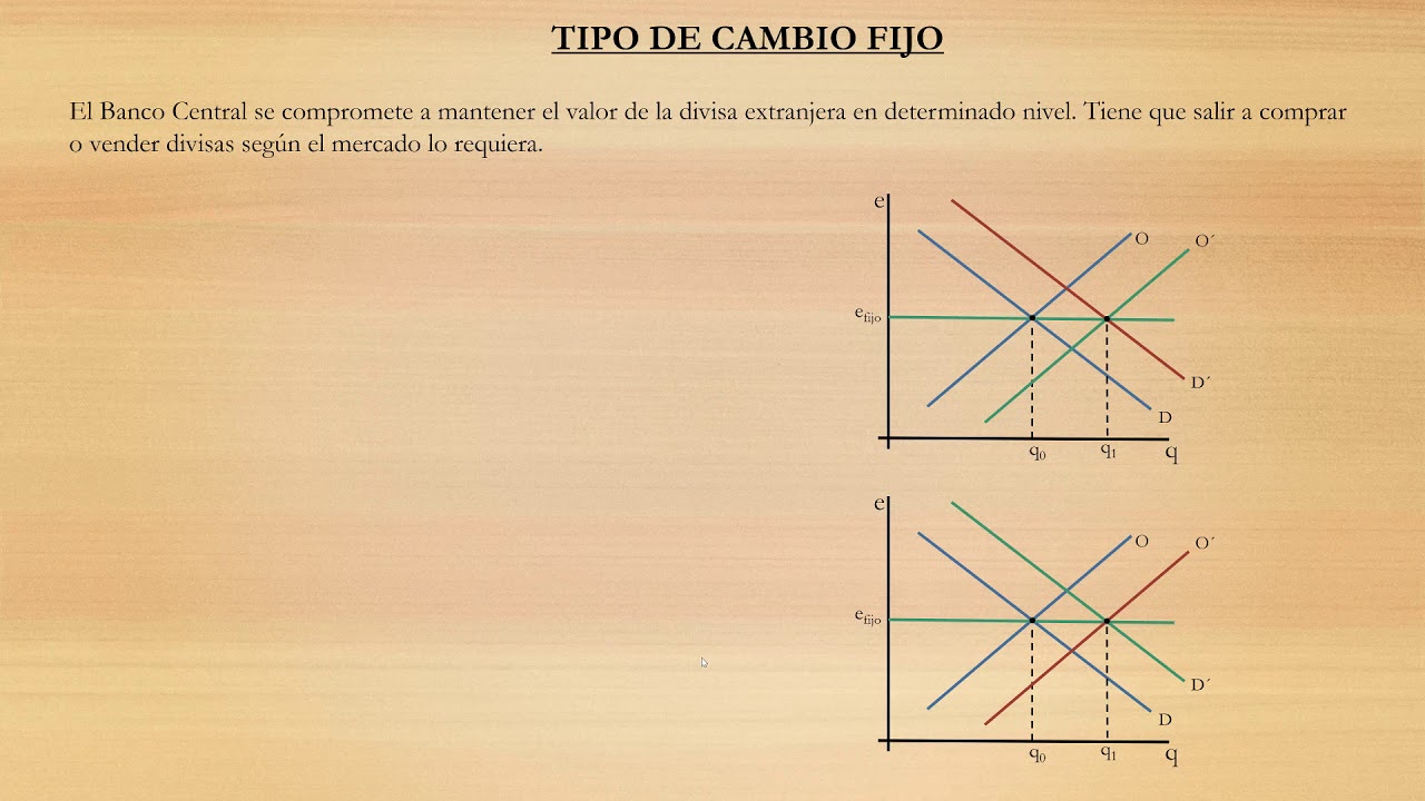 Tipo de cambio y régimen cambiario  - Parte 1