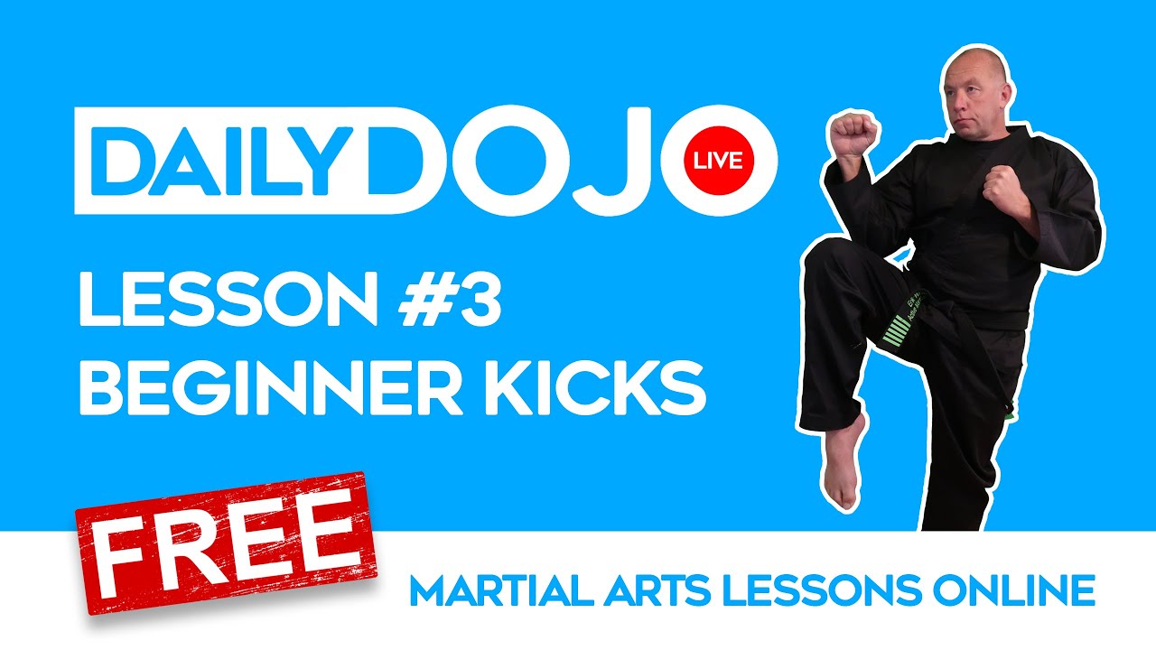 FREE MARTIAL ARTS LESSONS:  Lesson #3 (Beginner Kicks)