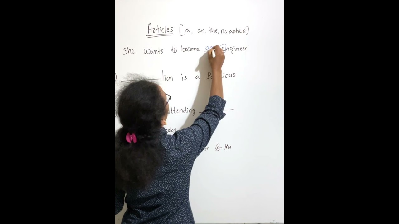 Articles exercise తెలుగులో 