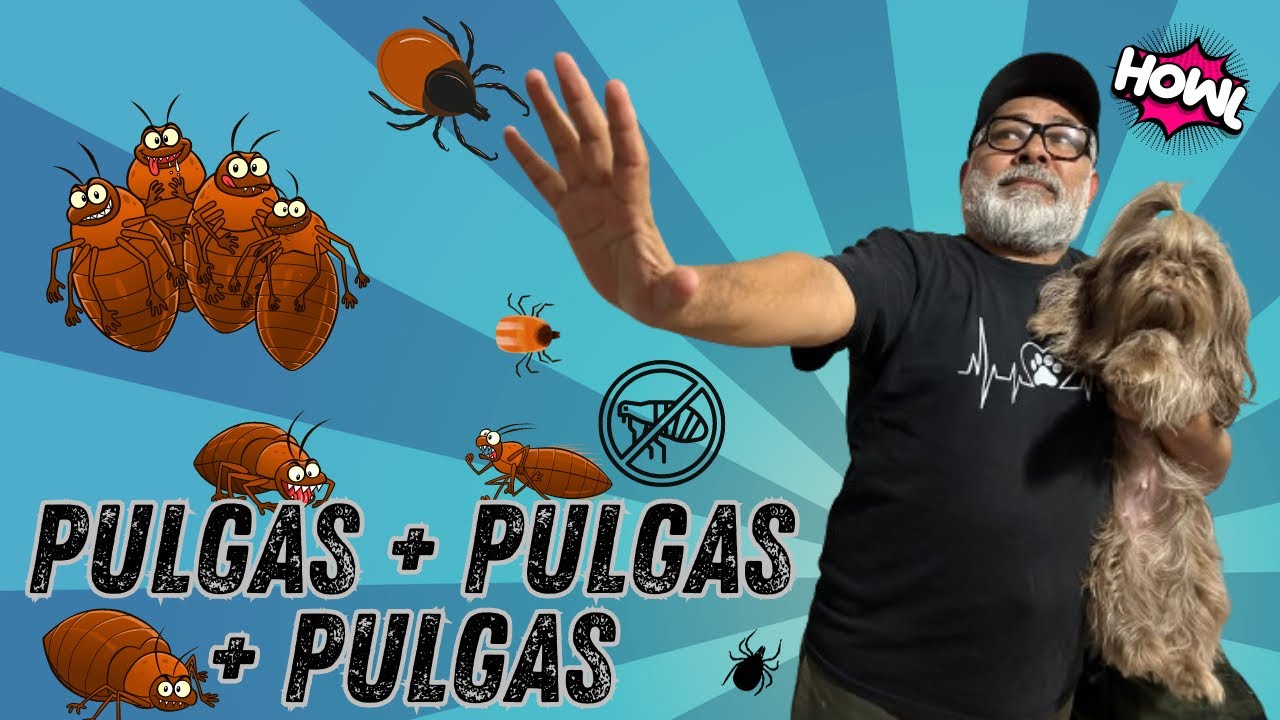 ADIÓS A LAS PULGAS | Baño ANTIPULGAS 100% CASERO | GARANTIZADO