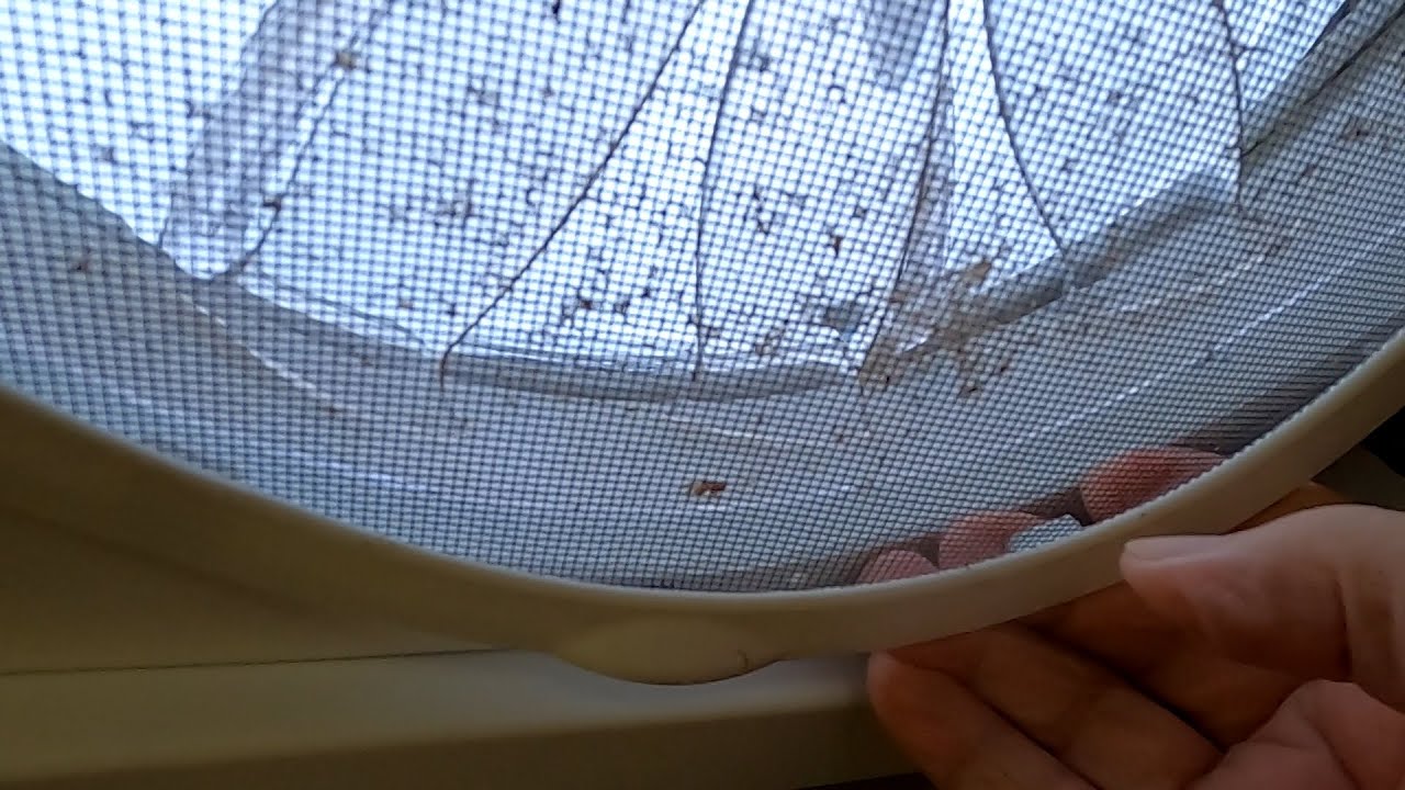 Fantastic Fan Cleaning The Screen!
