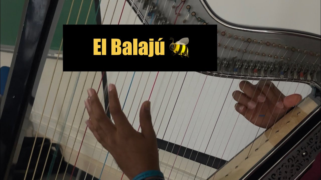 El Balajú Harp | Salvador Peña 2024 Guadalupe Mariachi Summer Workshop
