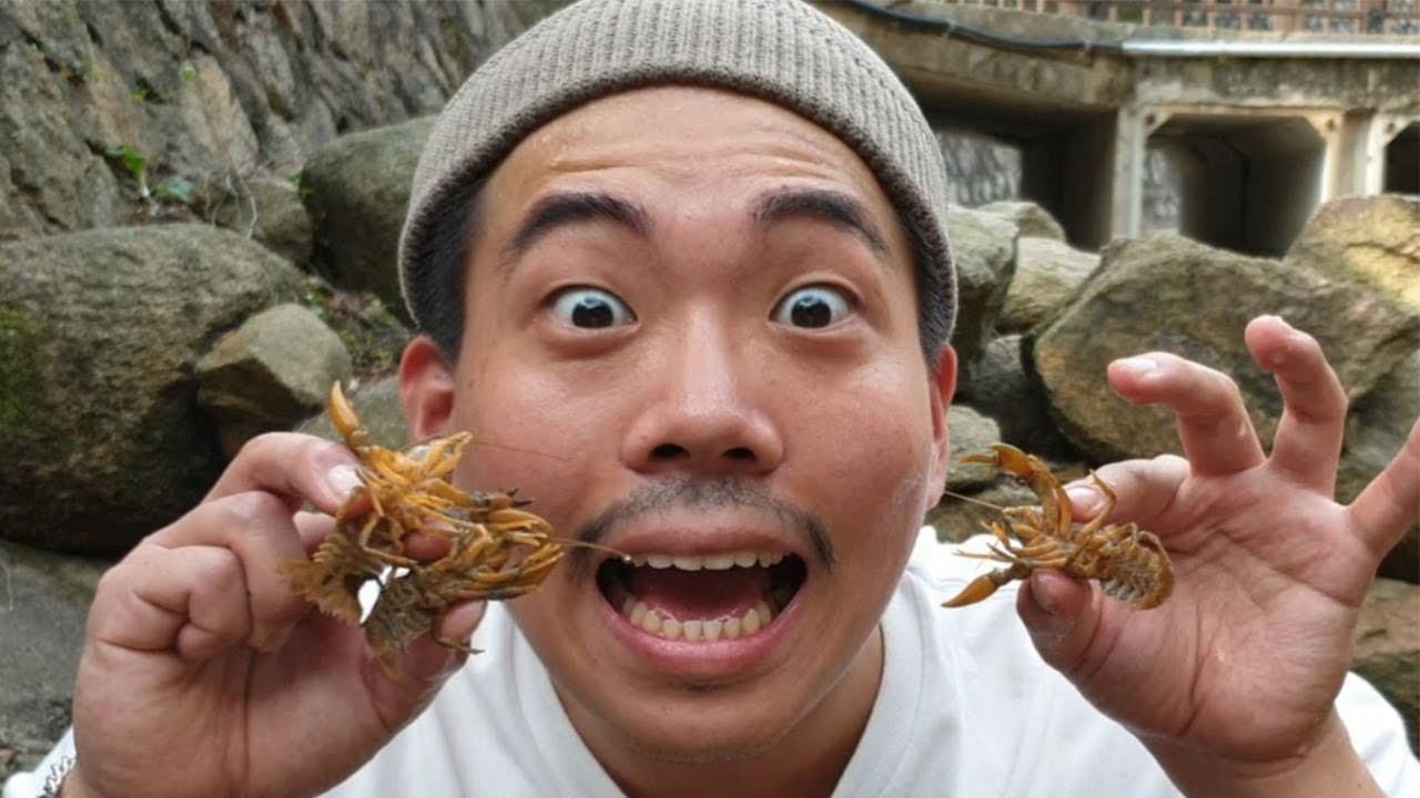 가재를 잡아서 튀겨먹어 보자! Eating fried Lobster