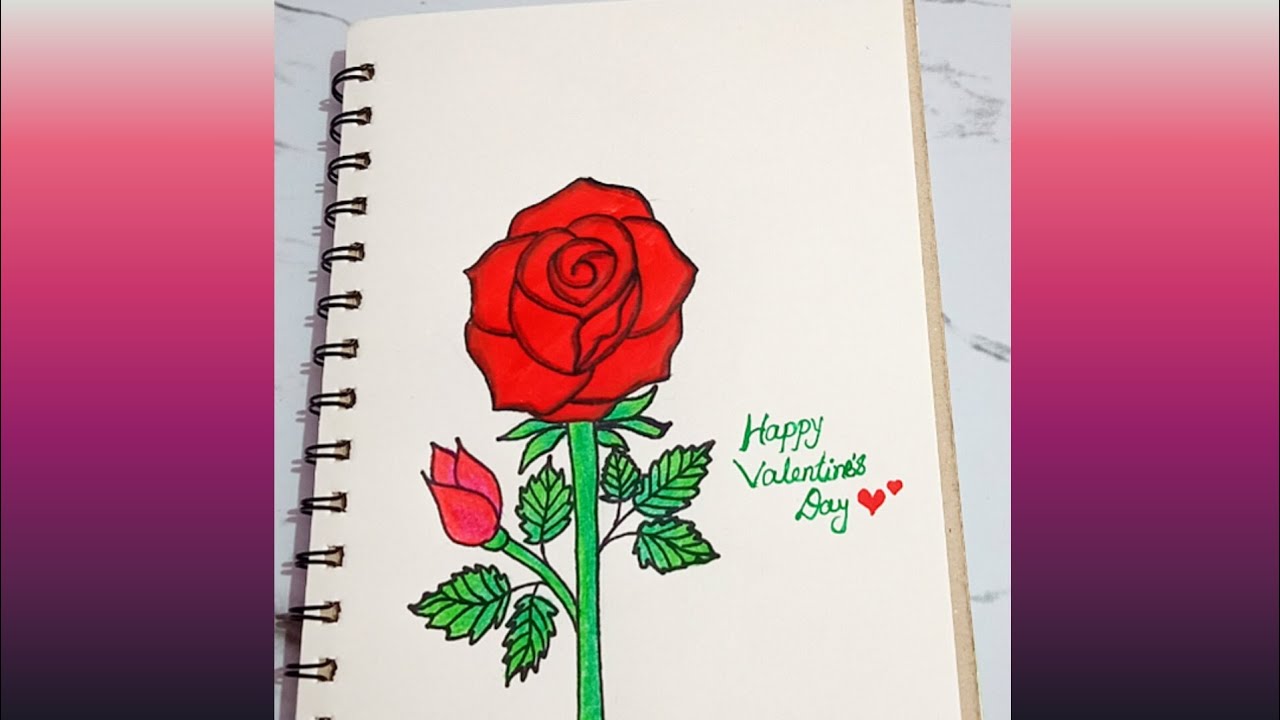 Valentine's day special drawing//Rose flower drawing/How to draw red rose/Rose drawing easy step🌹🌹💕🥰