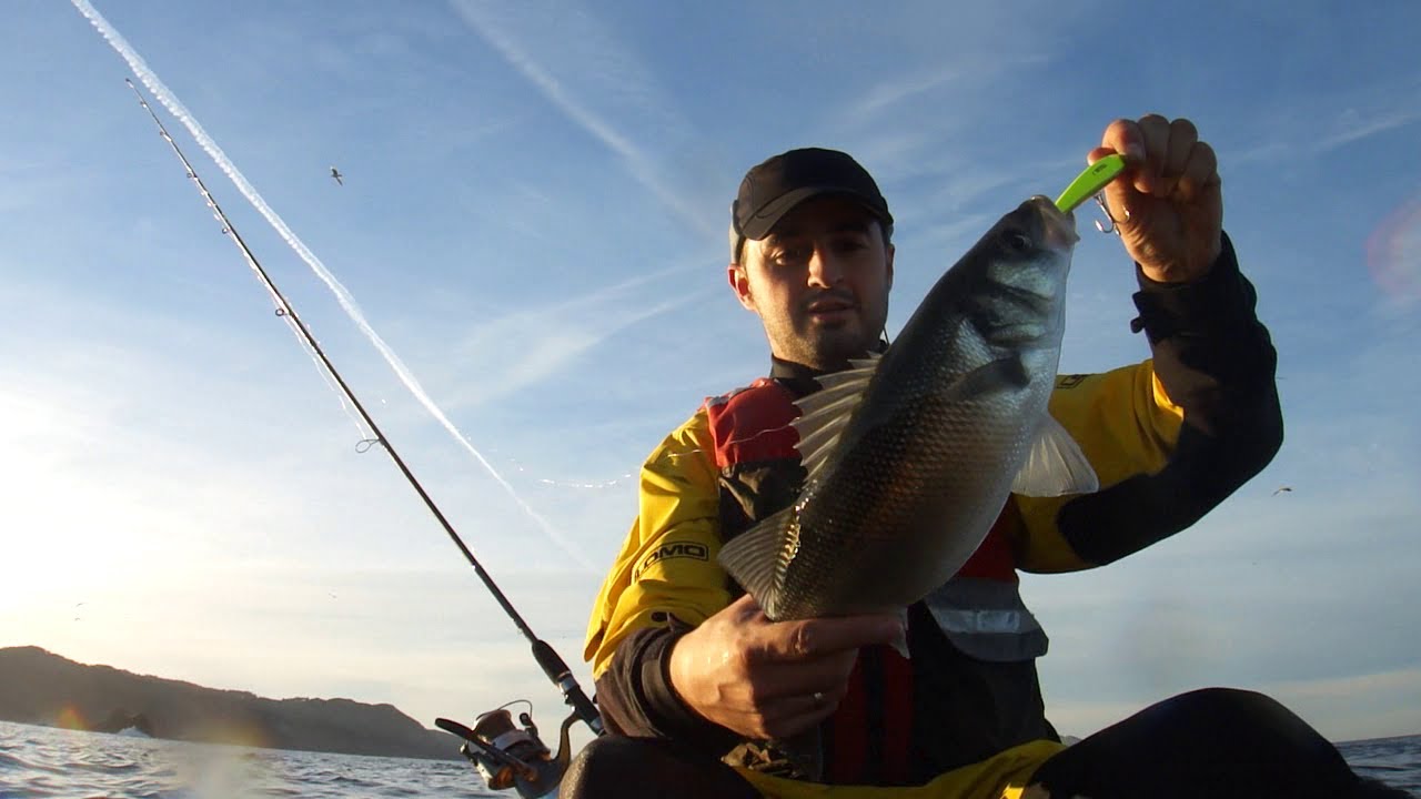 lubinas en galicia con kayak