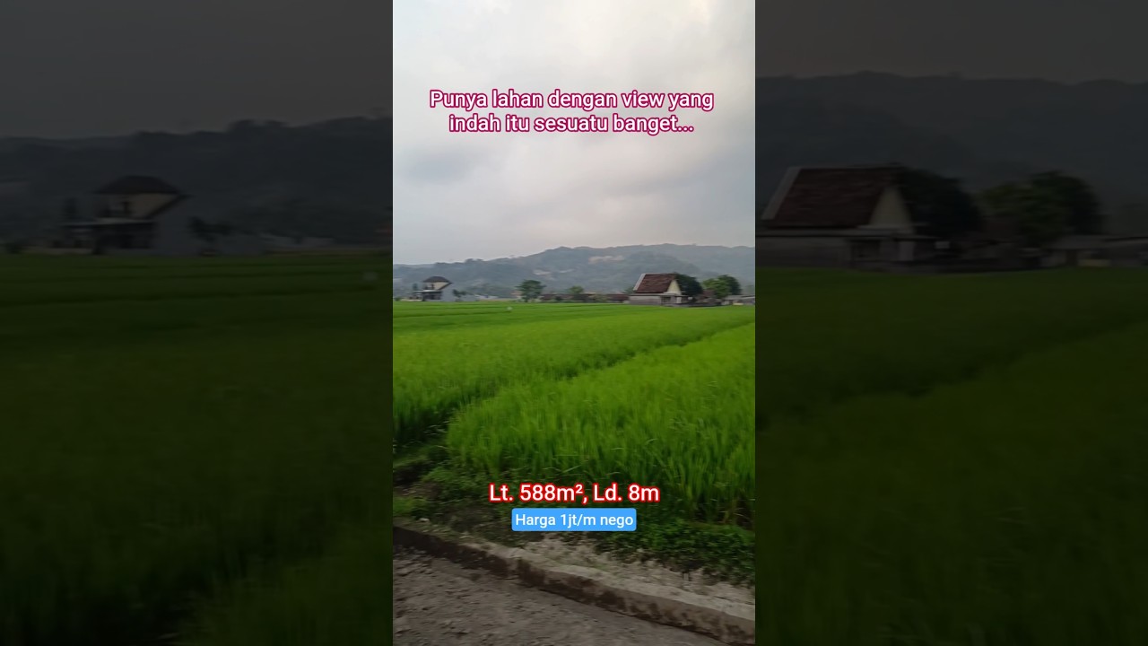 Tanah di Madurejo Prambanan Sleman #propertyjogja #tanahdijual #tanahmurahjogja #tanahsawahjogja