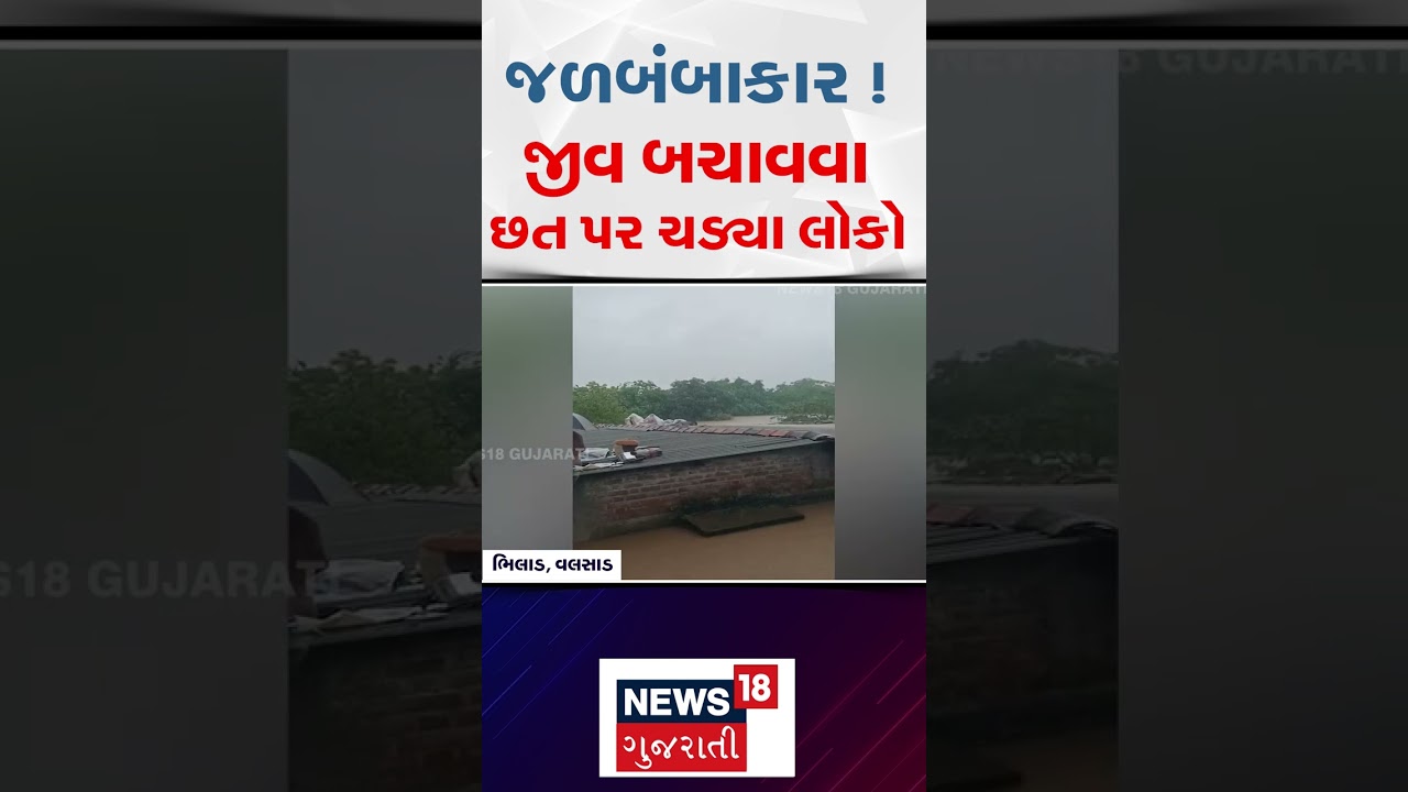 Vapi Heavy Rain | જળબંબાકાર ! જીવ બચાવવા છત પર ચડ્યા લોકો  | Flood | Gujarat Rain | Heavy Rain |N18S