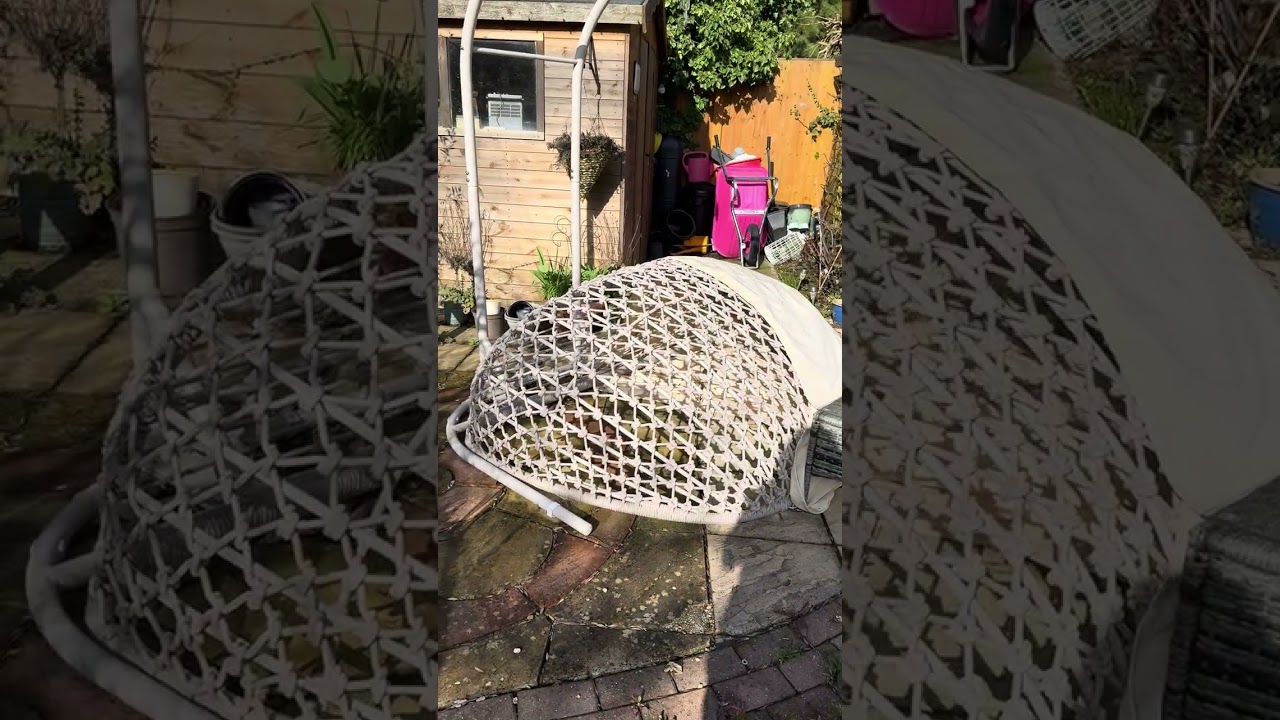 The sun is shining ! Checking garden winter damage . Sallys back !