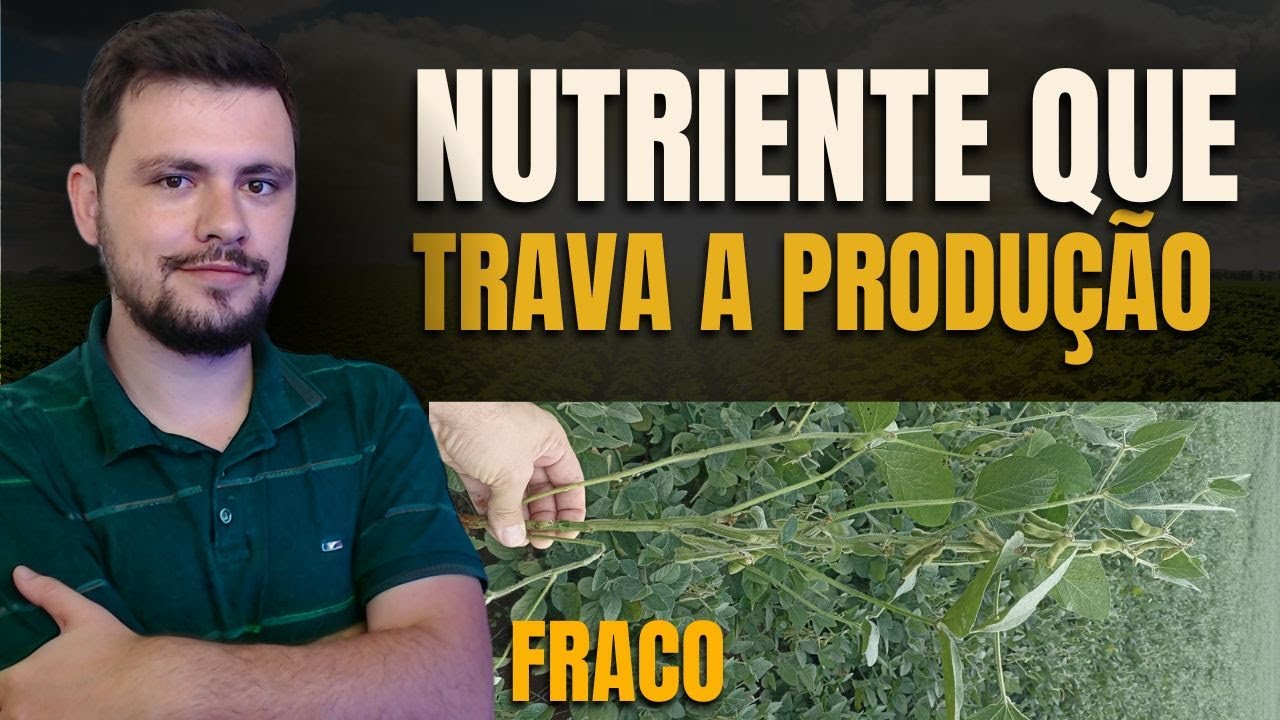 O NUTRIENTE que mais trava produtividade