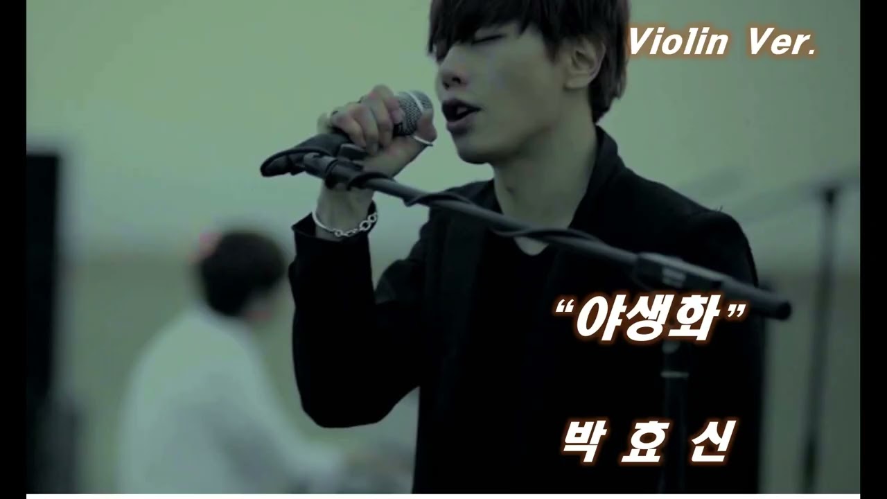 [Violin Ver]  박효신 — 야생화 | 🎻 바이올린 멜로디 커버 | 깊은 감성 바이올린 연