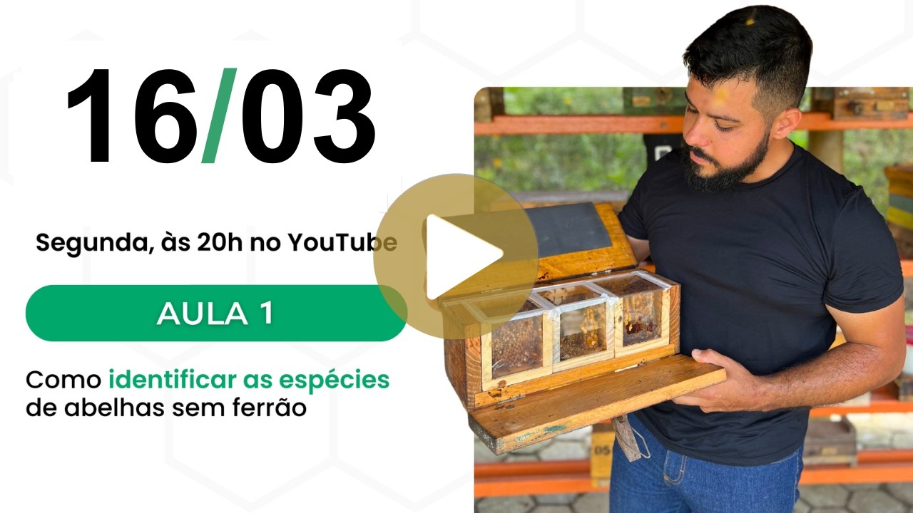 Aula 1 - Conheça as abelhas nativas sem ferrão