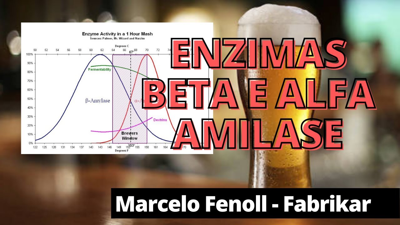 🍻 Enzimas Beta e Alfa amilase na Mosturação👍🍻😁 #CursoBásico