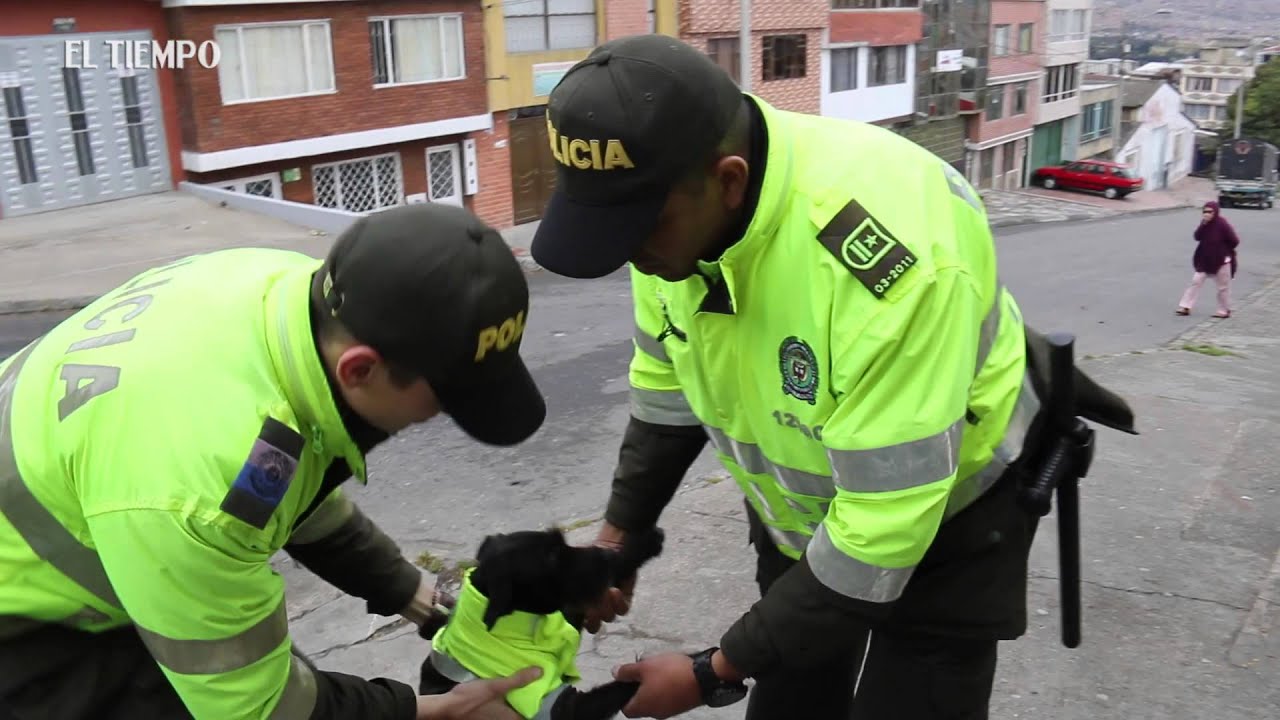 La increíble vida de Ñero, el policía de cuatro patas del Diana Turbay