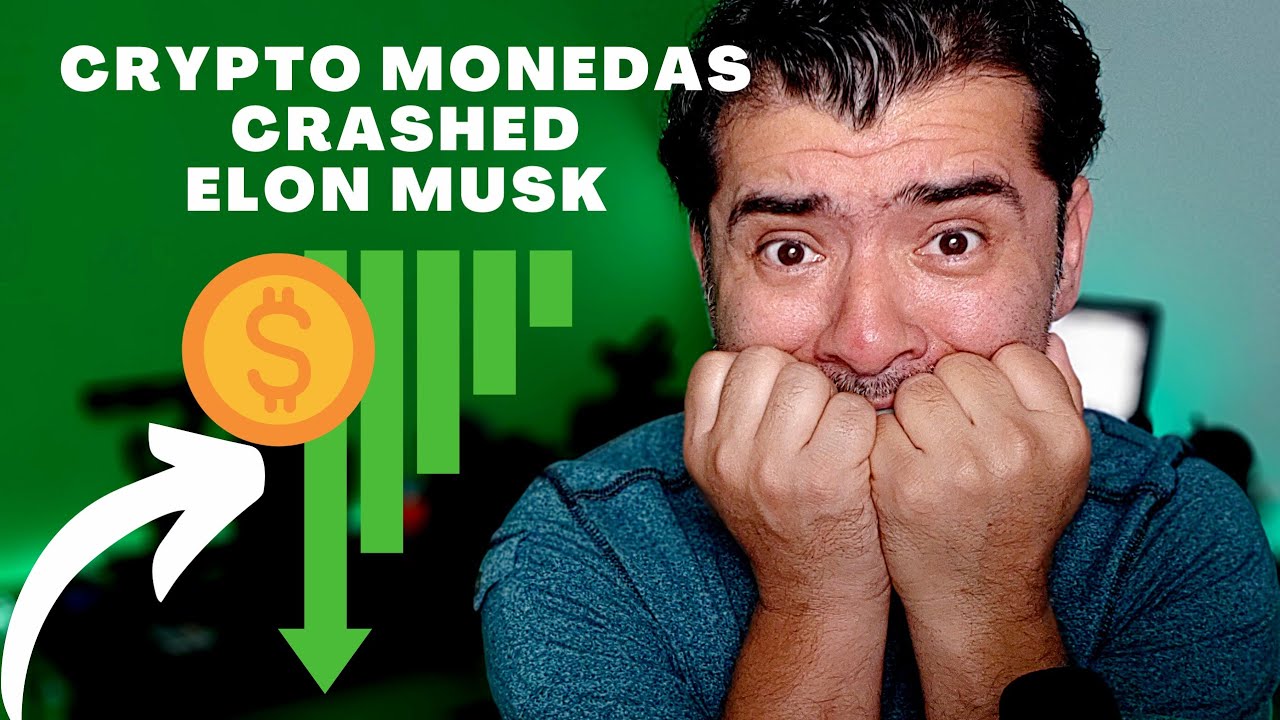 Las Crypto Monedas Crashed Elon Musk twitt