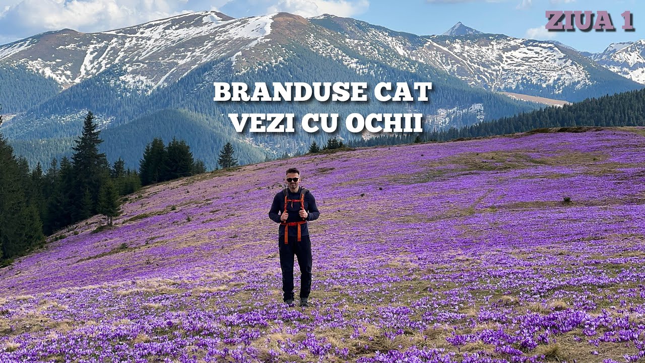 Brândușele Din Pasul Prislop, M-ții Maramureșului | Incepe Aventura de 6 Zile cu Dusterul